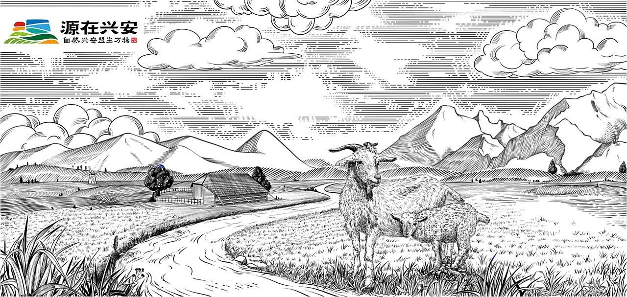 興安盟甄選牛羊肉禮盒（圖ZMzM4Mzk4OTcy） - 商業(yè)插畫 - 站酷設(shè)計(jì)師忘撒鹽的五花肉原創(chuàng)素材 - 站酷ZCOOL