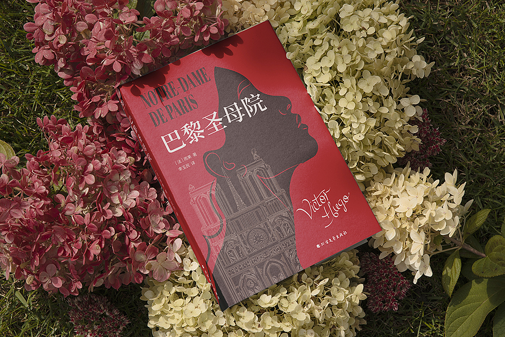 《巴黎圣母院》平装，当当定制版（图ZMzM2OTkwOTg0） - 书籍/画册 - 站酷设计师lika原创素材 - 站酷ZCOOL