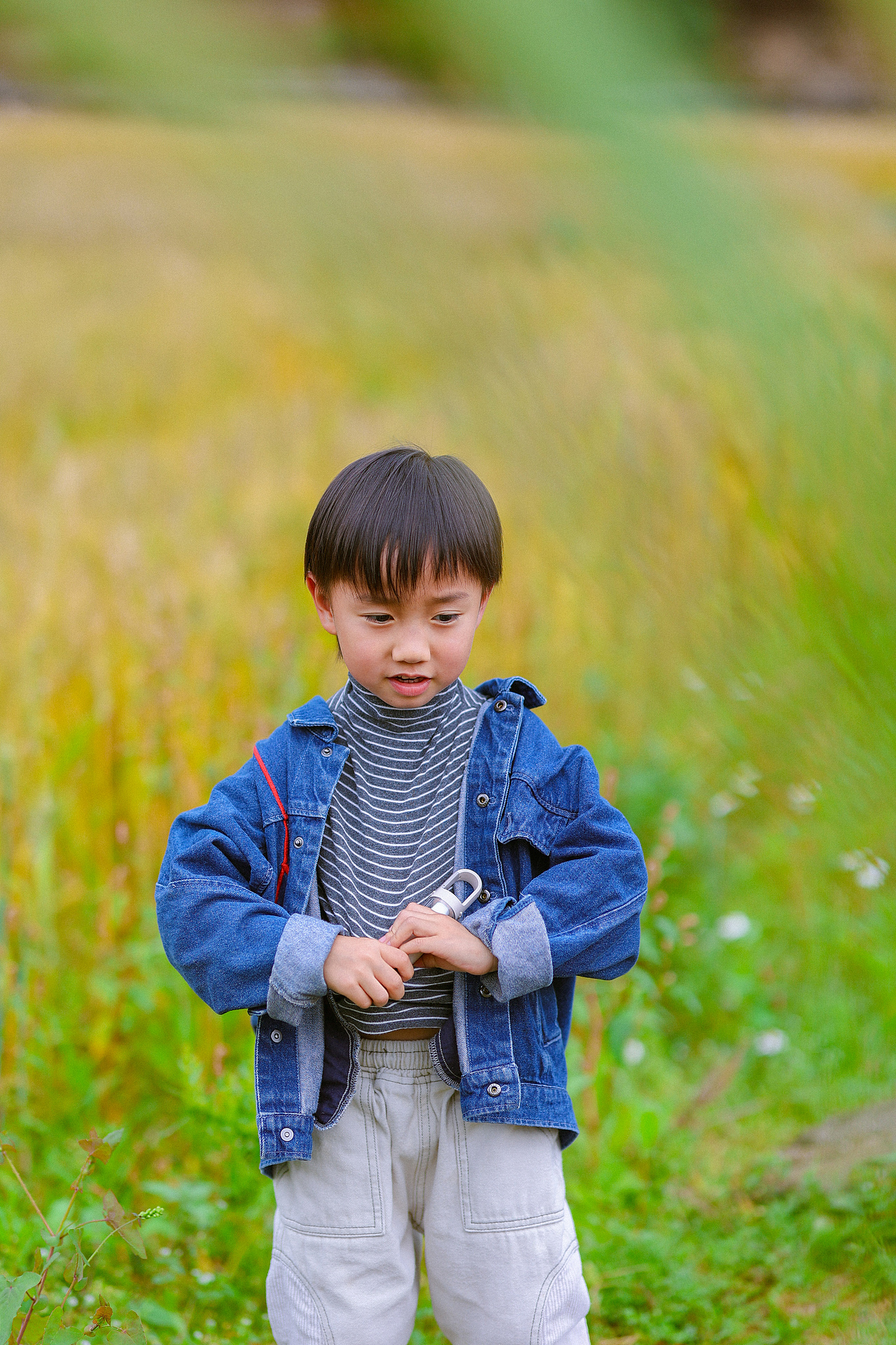 罗洞工匠小镇-金色稻田（上）