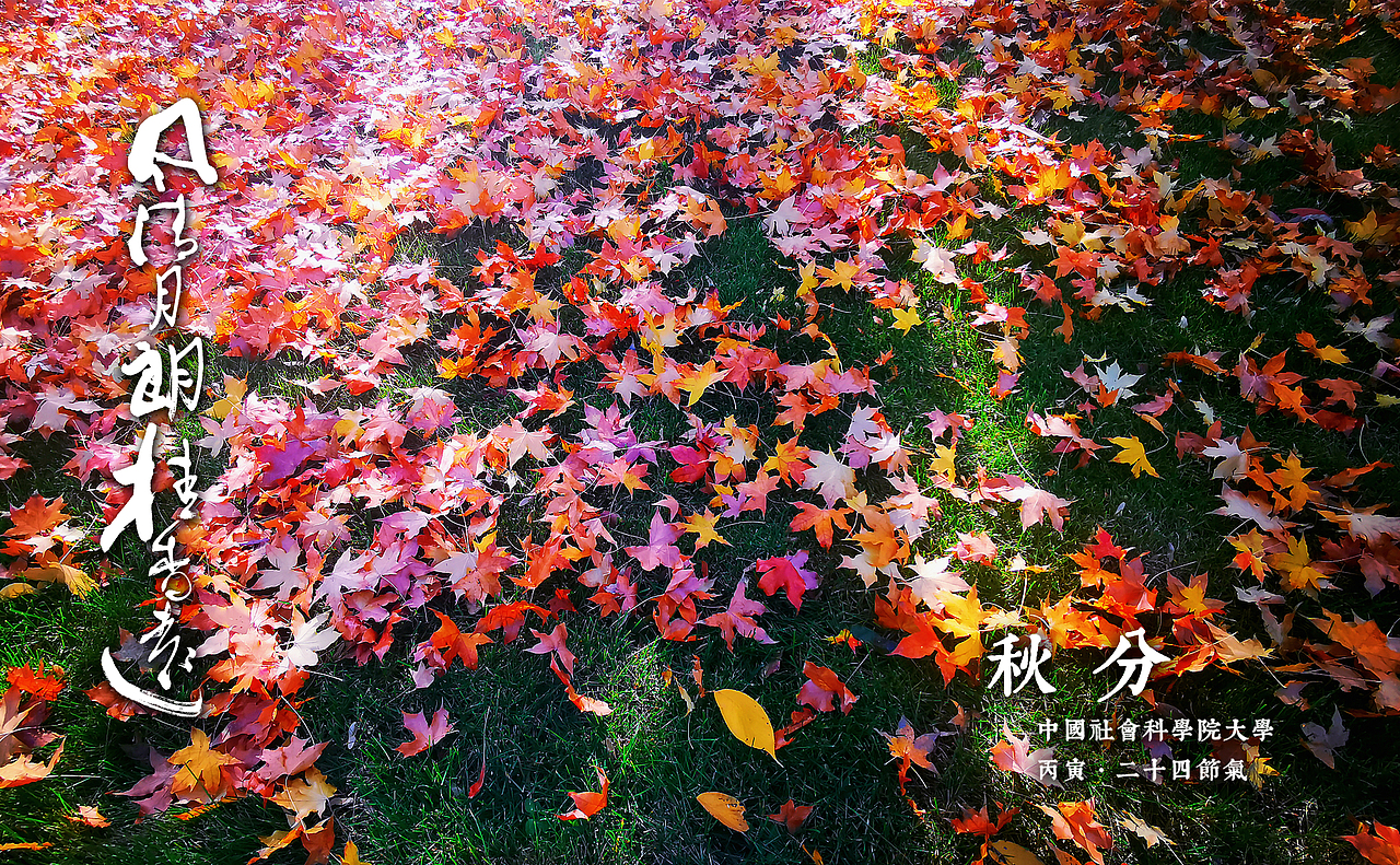 二十四节气明信片校园风中国风设计24节气高校毕业文创