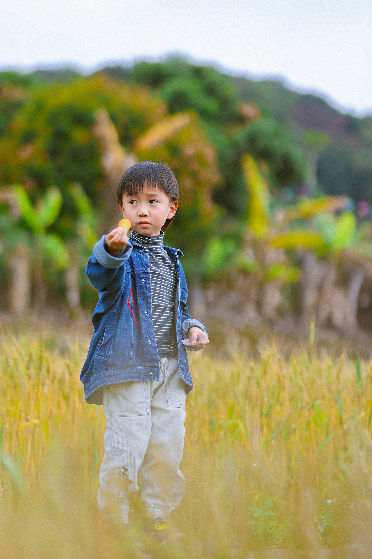 罗洞工匠小镇-金色稻田（上）