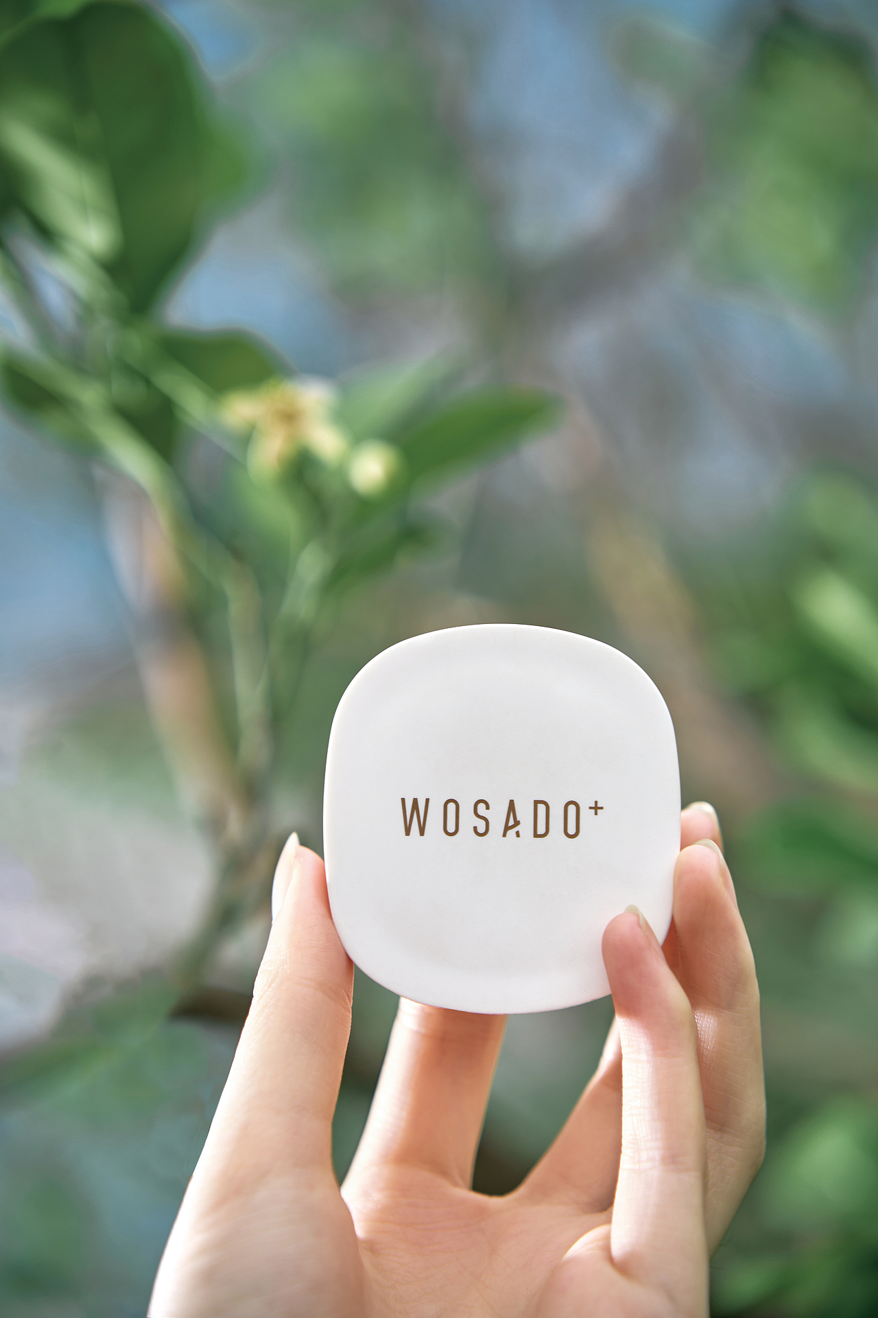 光——春天系列