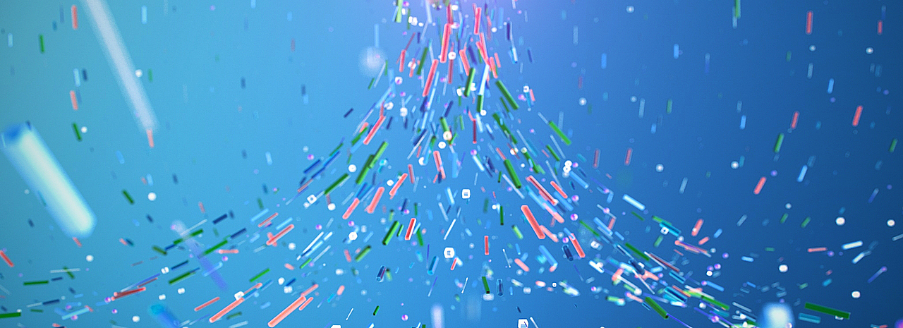 小黄龙的社区生活