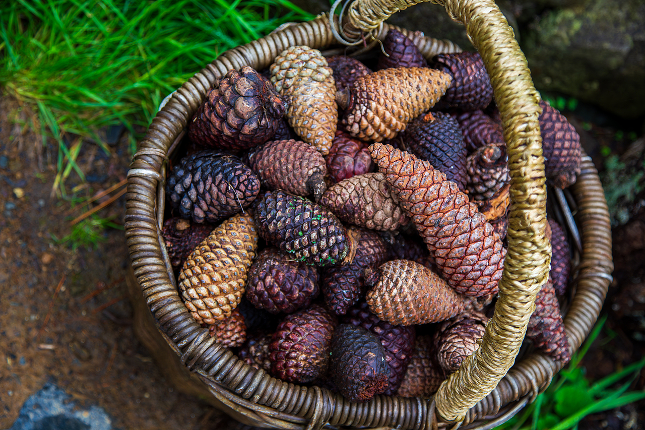 新西兰南北岛穿越之旅（图ZMzUzNzQyNTQ0） - 风光摄影 - 站酷设计师暗影嗜血原创素材 - 站酷ZCOOL