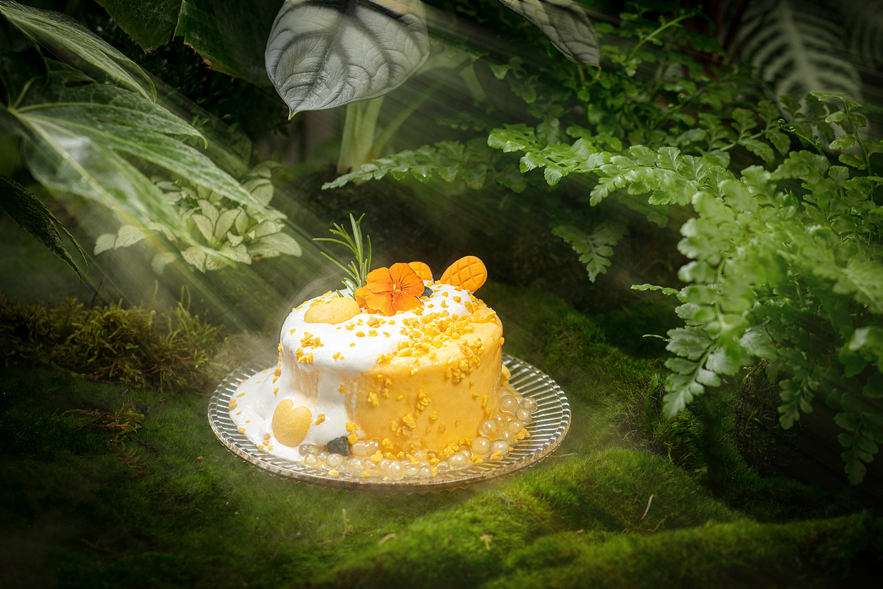 云南美食花菇朵 美食摄影 空间摄影