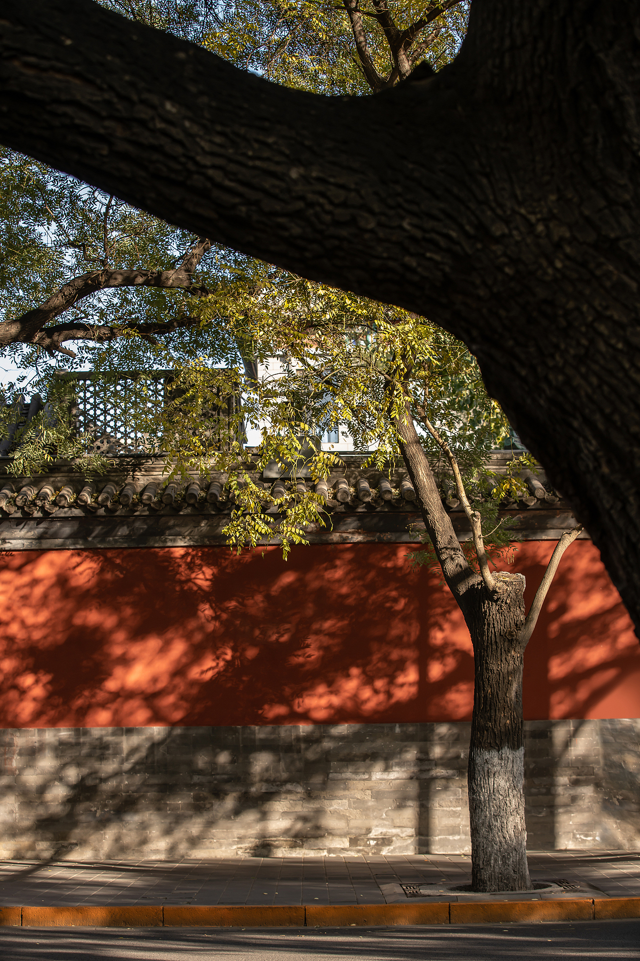 经历过“觉醒年代”里那峥嵘岁月的炙热,触碰过振奋人心的历史脉搏,如今重塑后,更将精致现代的艺文生活贯穿于街上的古老建筑群落中。
<br>01 空间的节奏 回转探幽<br><br>美学的特点在形式、在节奏,它所表现的是生命内核,是情感中最深的动,是有条理的生命情调。在鮨膳餐厅,来者便可充分感受到这份一步一景的空间节奏。