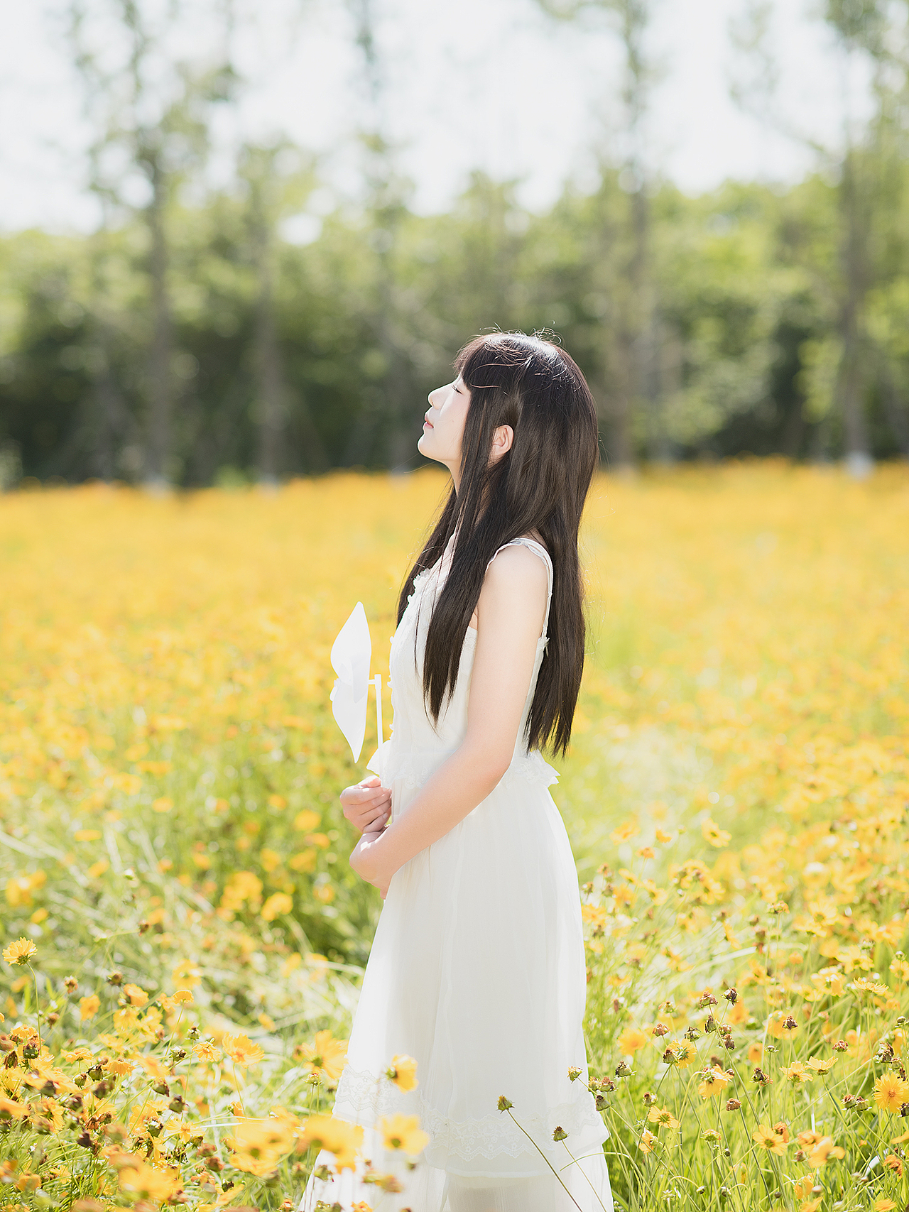分享一组金鸡菊写真（图ZMzY4NzY2MzQw） - 人像摄影 - 站酷设计师桥如一原创素材 - 站酷ZCOOL