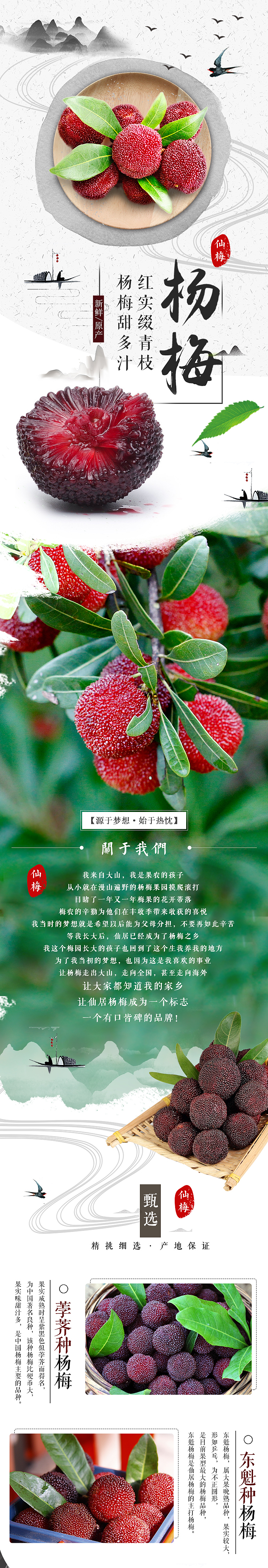 仙居杨梅电商详情页（图ZMzQ1MjMzNDAw） - 其他平面 - 站酷设计师兜兜里有榴莲原创素材 - 站酷ZCOOL