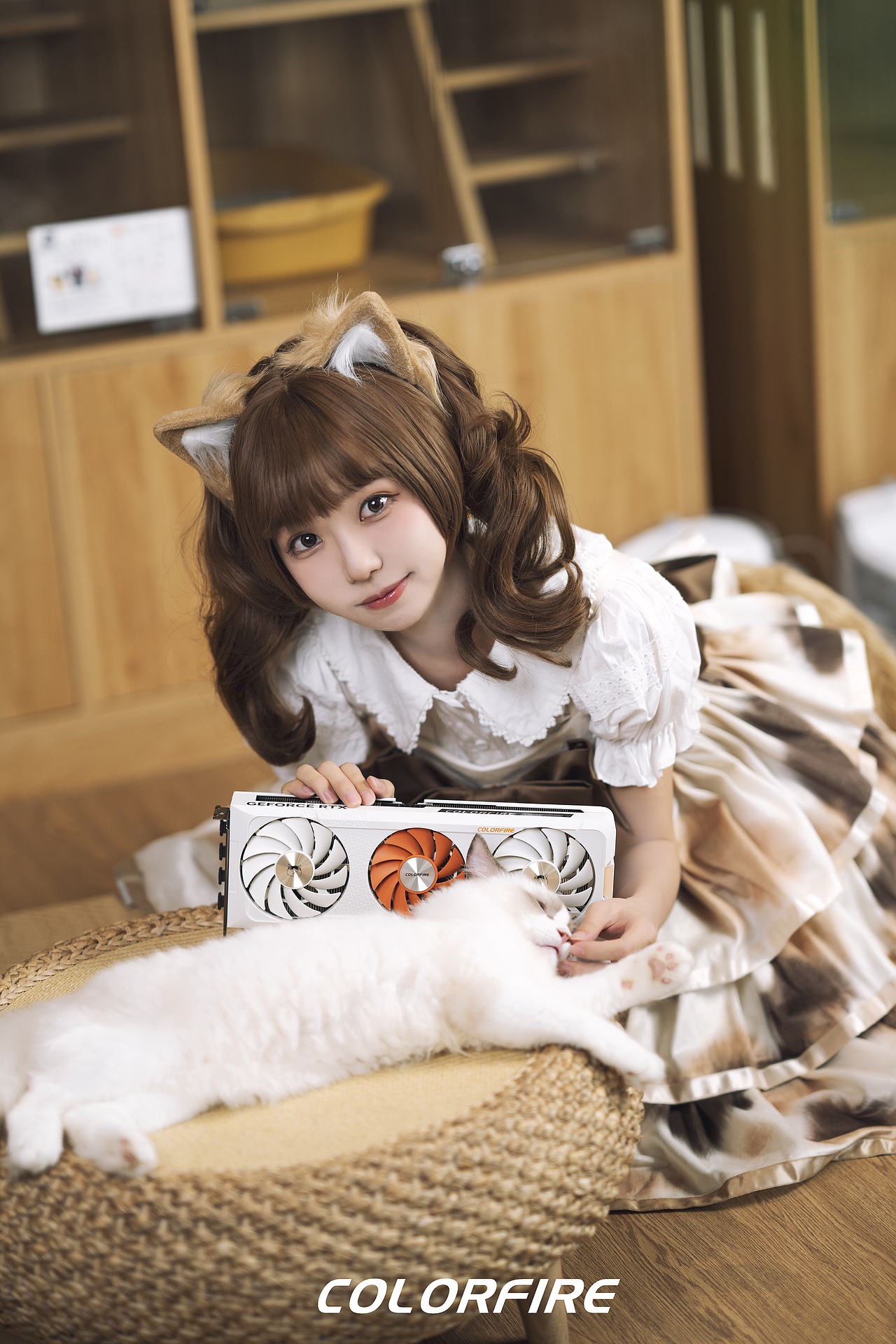 猫猫主题显卡拍摄