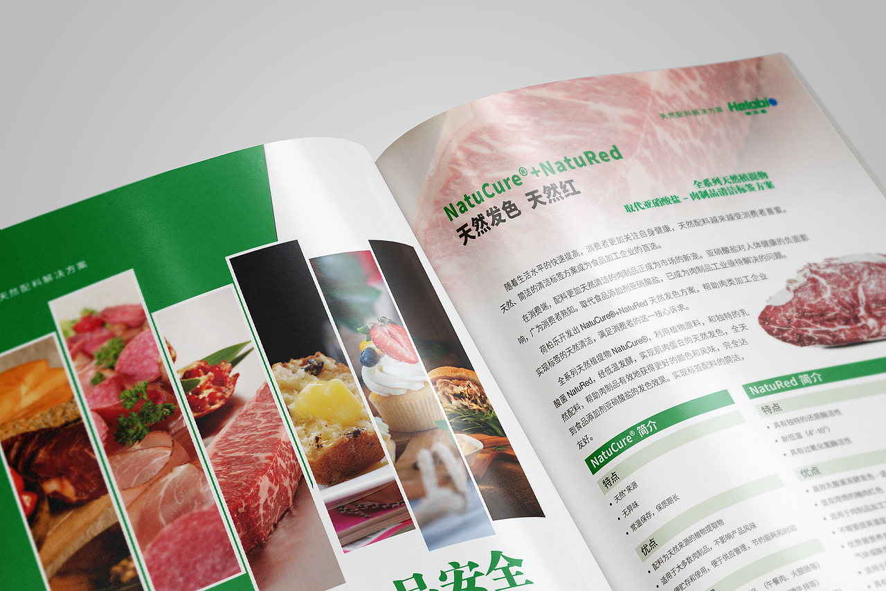 食品企业宣传画册