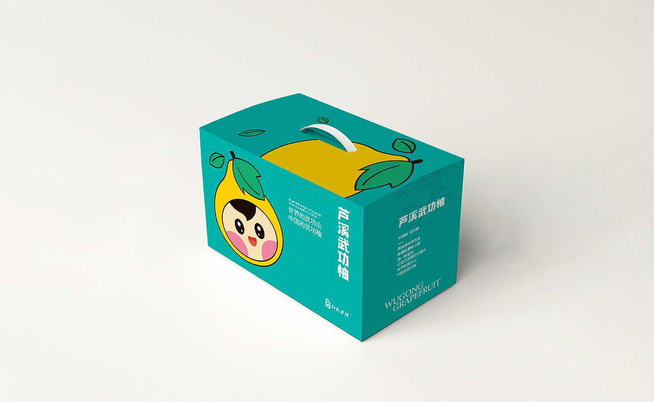 柚子包装——武功柚