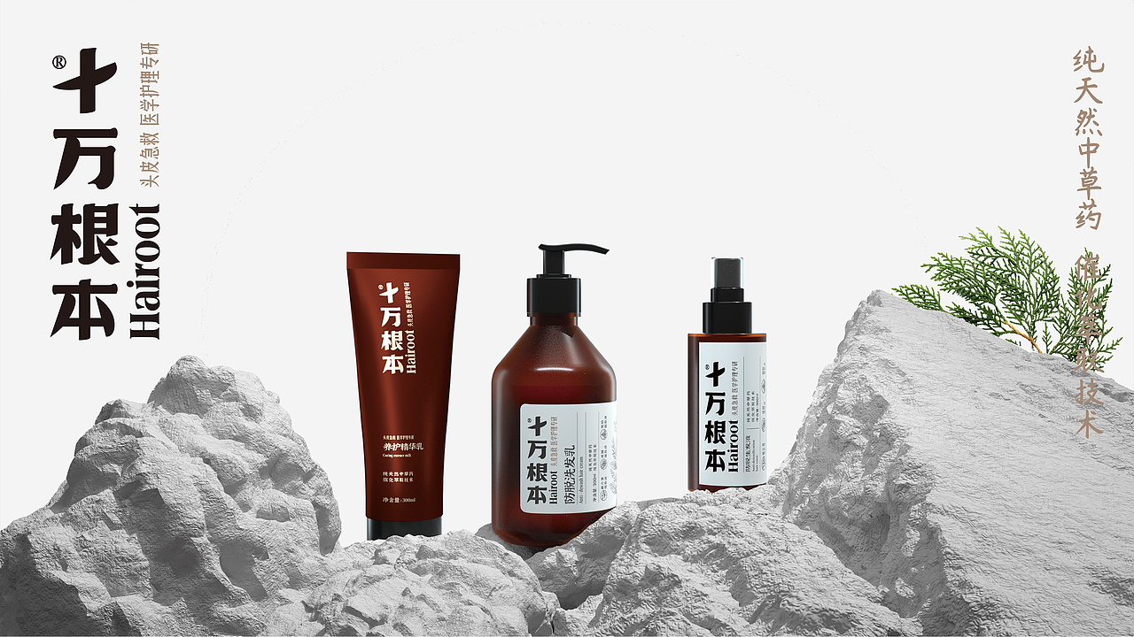 十万根本医学护理专研（图ZMjk3Njg2NTIw） - 品牌 - 站酷设计师DAKE奇原创素材 - 站酷ZCOOL