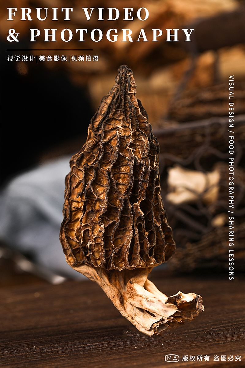 羊肚菌拍摄 野生羊肚菌 羊肚菌图片 菌菇产品摄影图_艺榴视觉工作室-