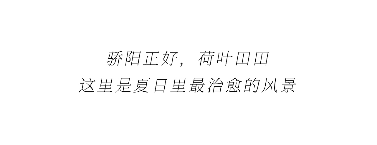 茶米猫画笔下的世界(手机壁纸)