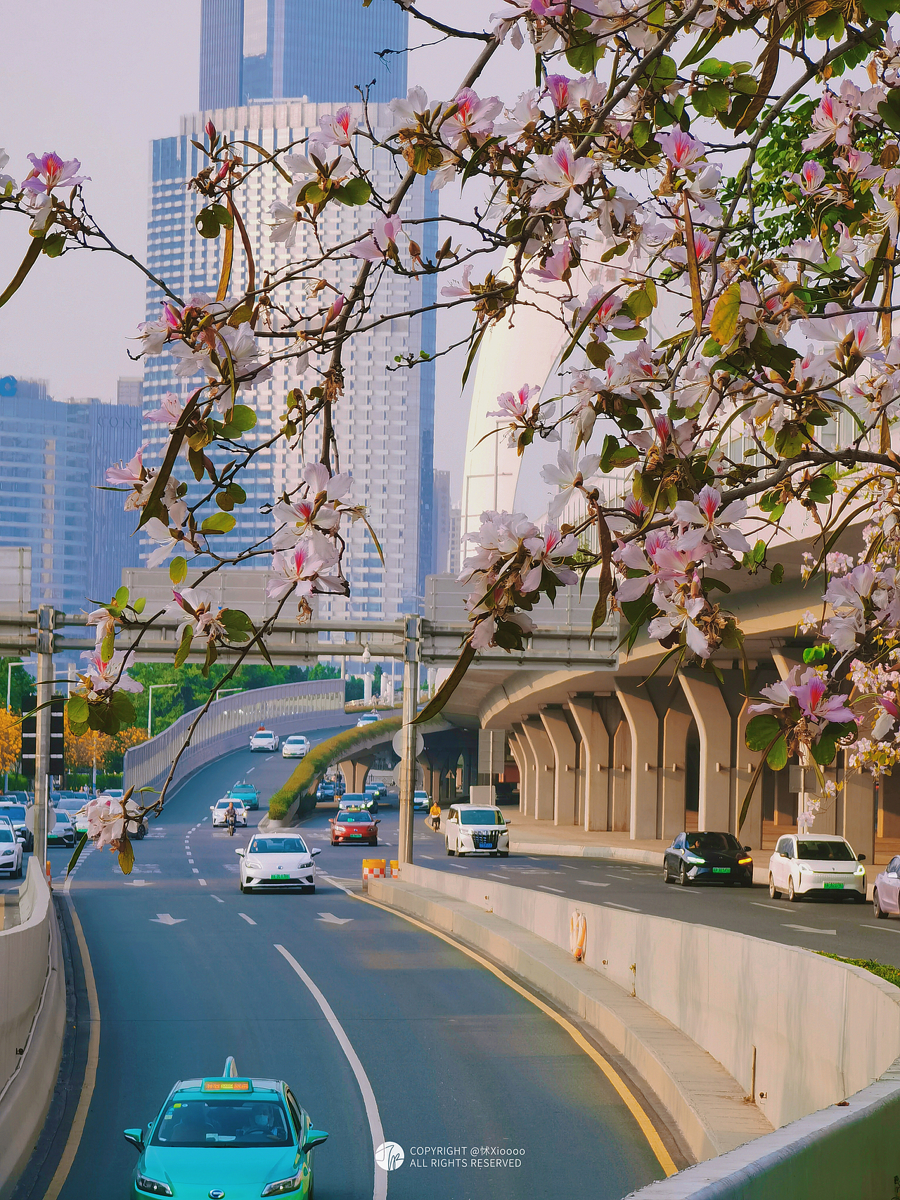 2023怵xiooo手机摄影