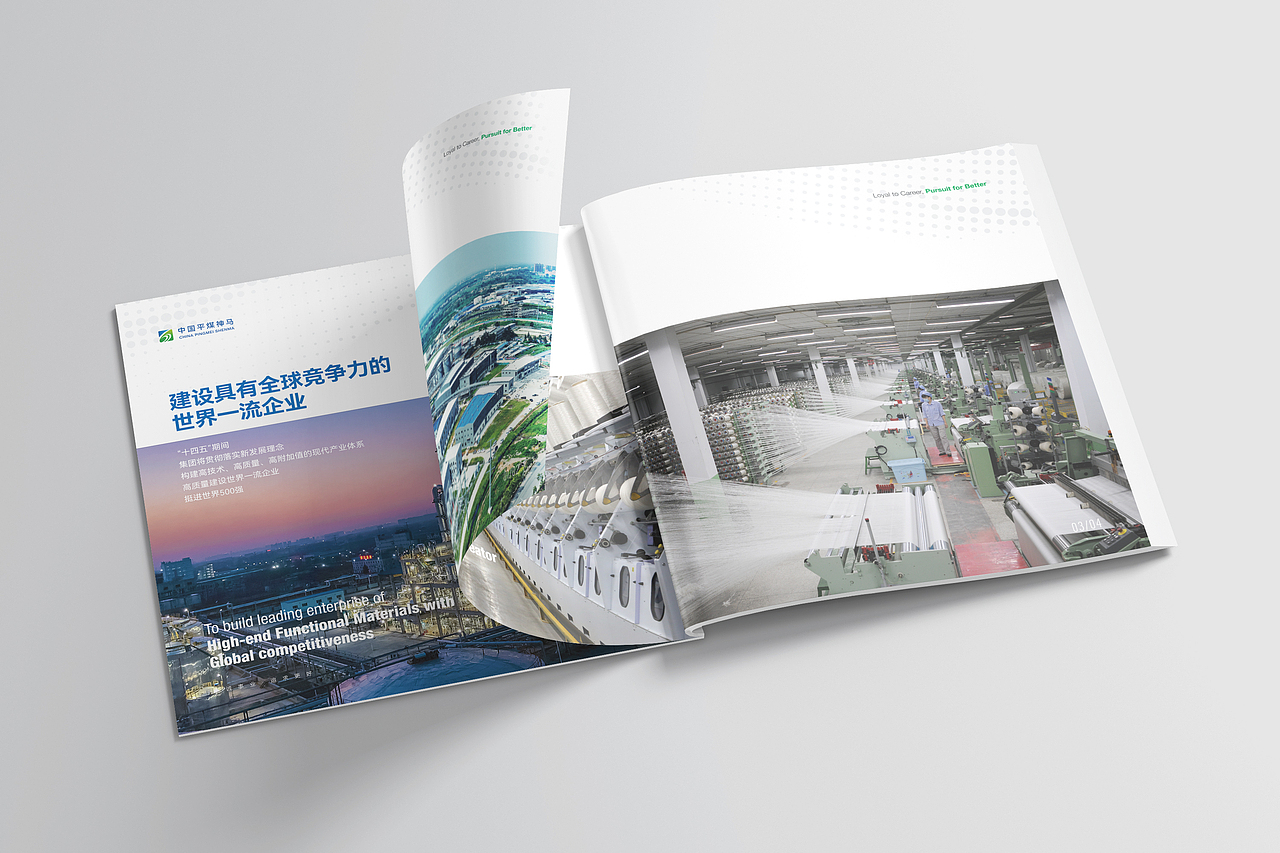 中国平煤神马集团-新标识应用