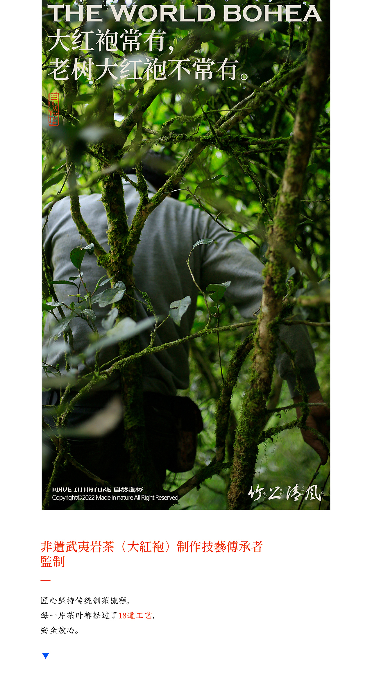 【竹上清风】自然造物（图ZMzIzODMyOTQw） - 其他工业/产品 - 站酷设计师王猛涛Tee原创素材 - 站酷ZCOOL