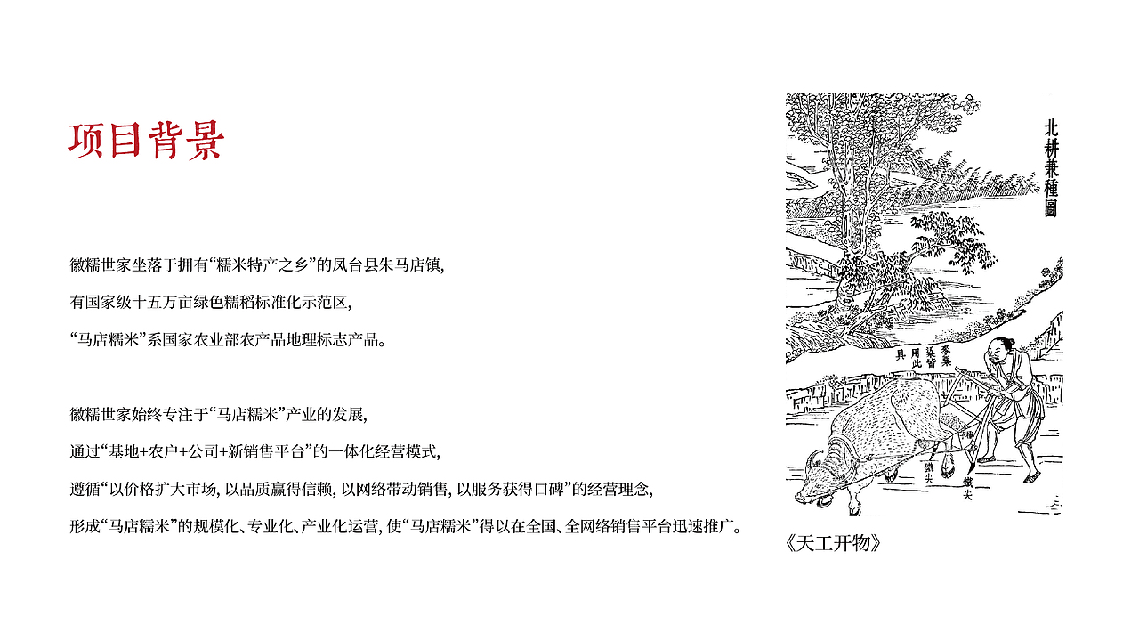 徽糯世家品牌x一棵树品牌/品牌设计/超级IP