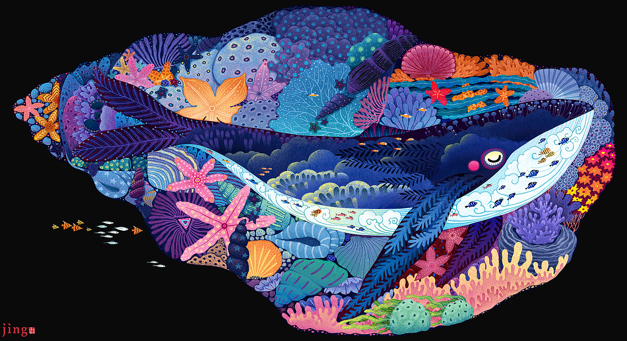 海螺鲸鱼儿童益智拼图产品插画