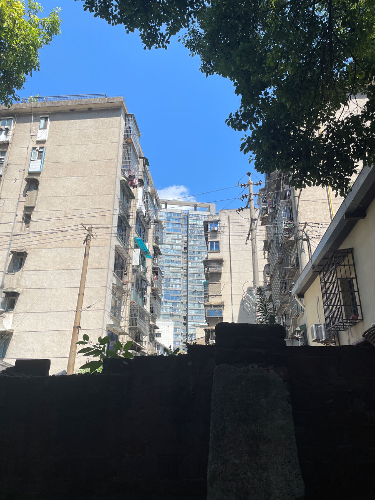 2023年度相片(iPhone)