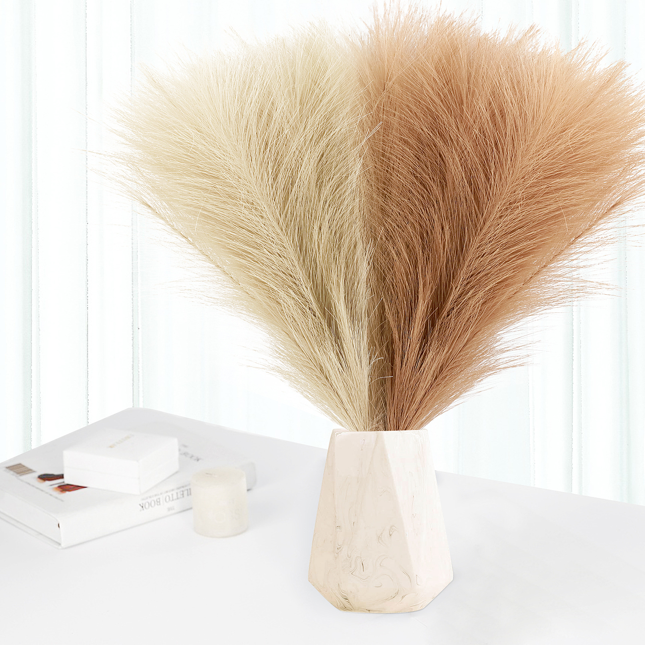 潘帕斯草 亚马逊