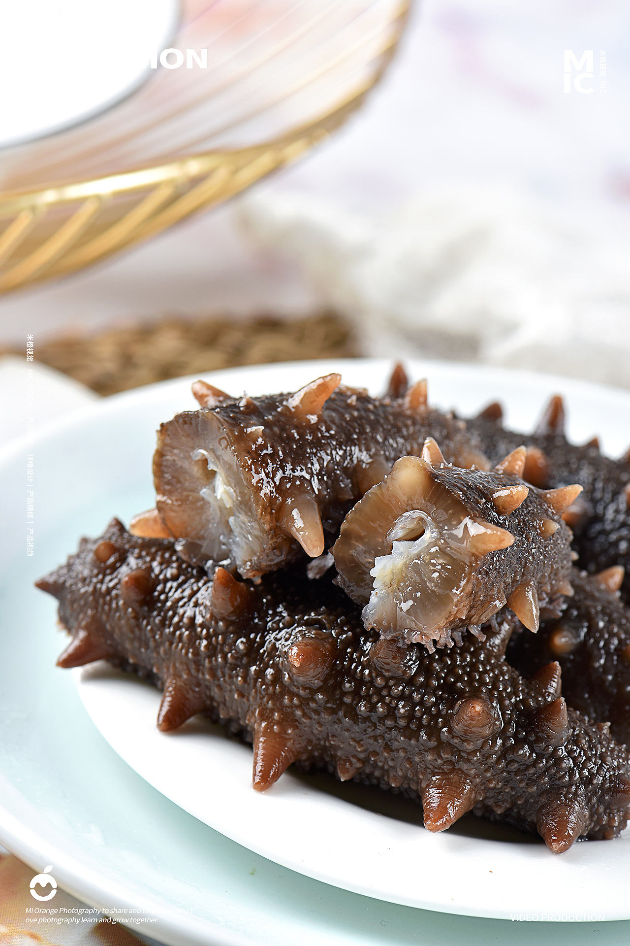 食品类｜海参拍摄