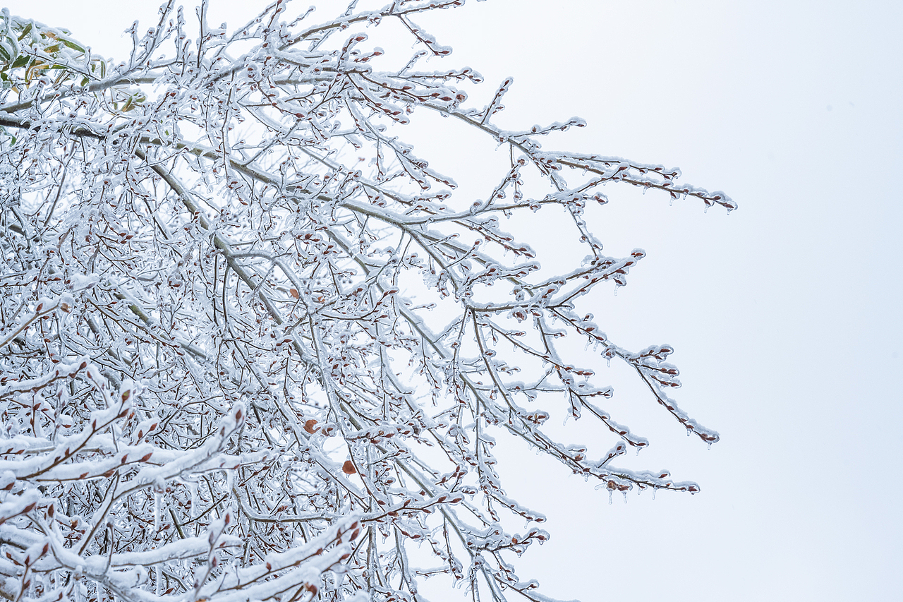 银装素裹的世界【天子寨村雪景】