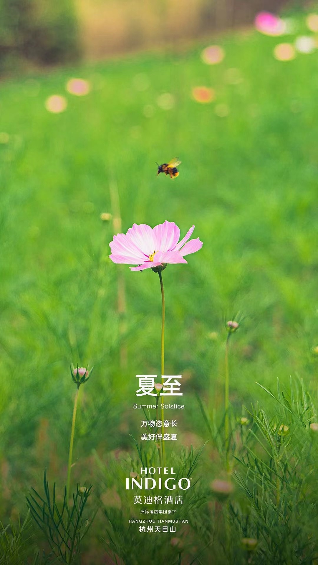 天目山二十四节气