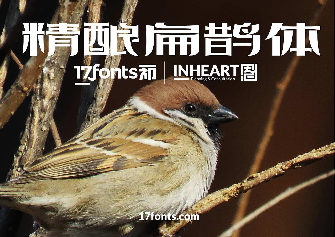 【一祁造字】精酿扁鹊体