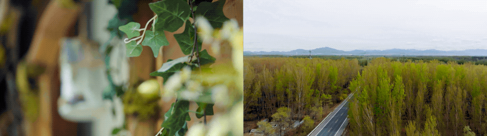 《好朋友的周末》——友情的随行小考