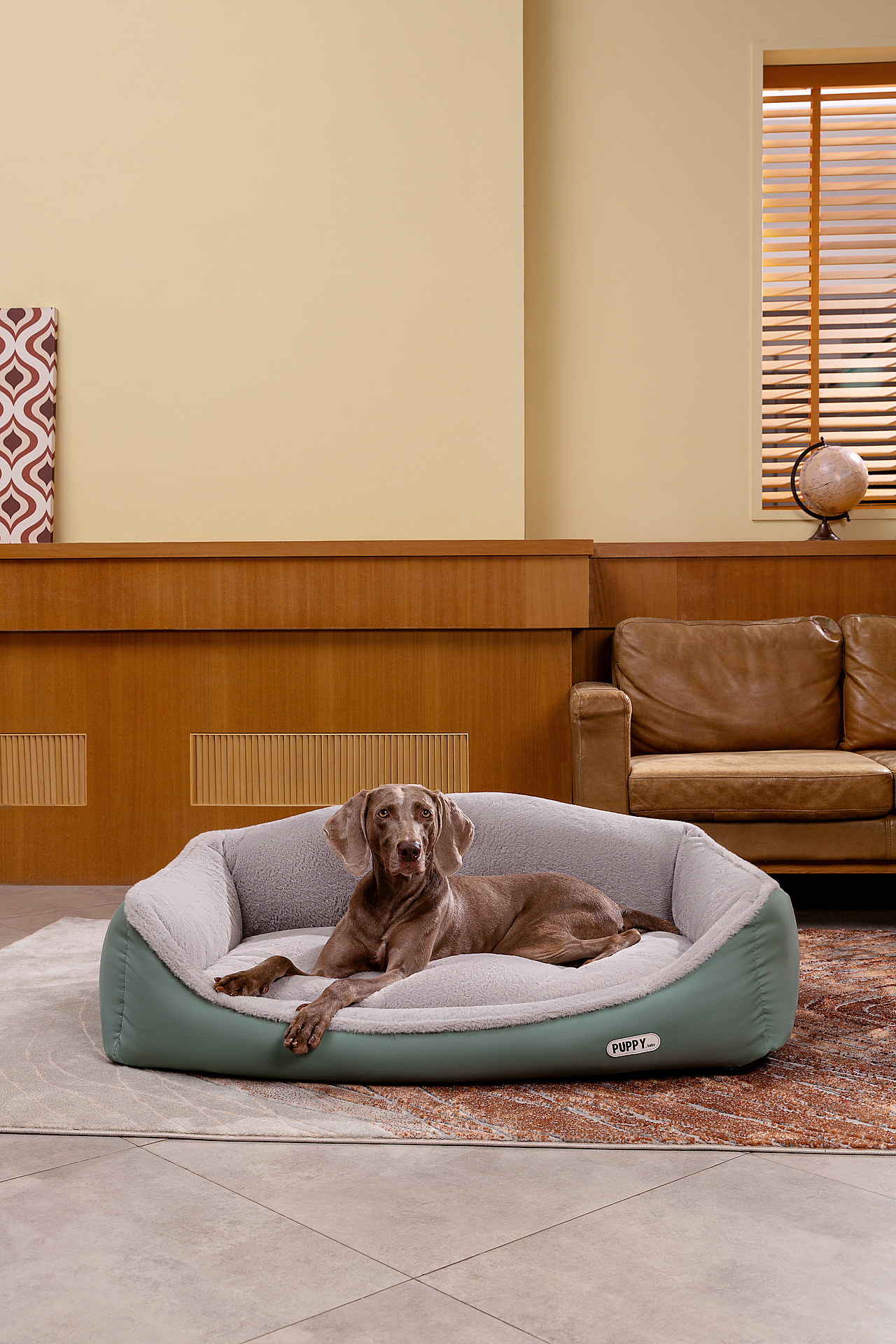 宠物窝摄影（图ZMzQ2Nzg1OTA0） - 产品摄影 - 站酷设计师一木光影原创素材 - 站酷ZCOOL