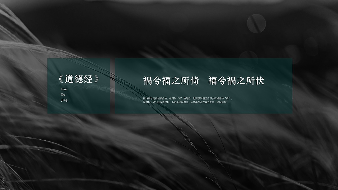 武当山紫衫酒店导视设计方案