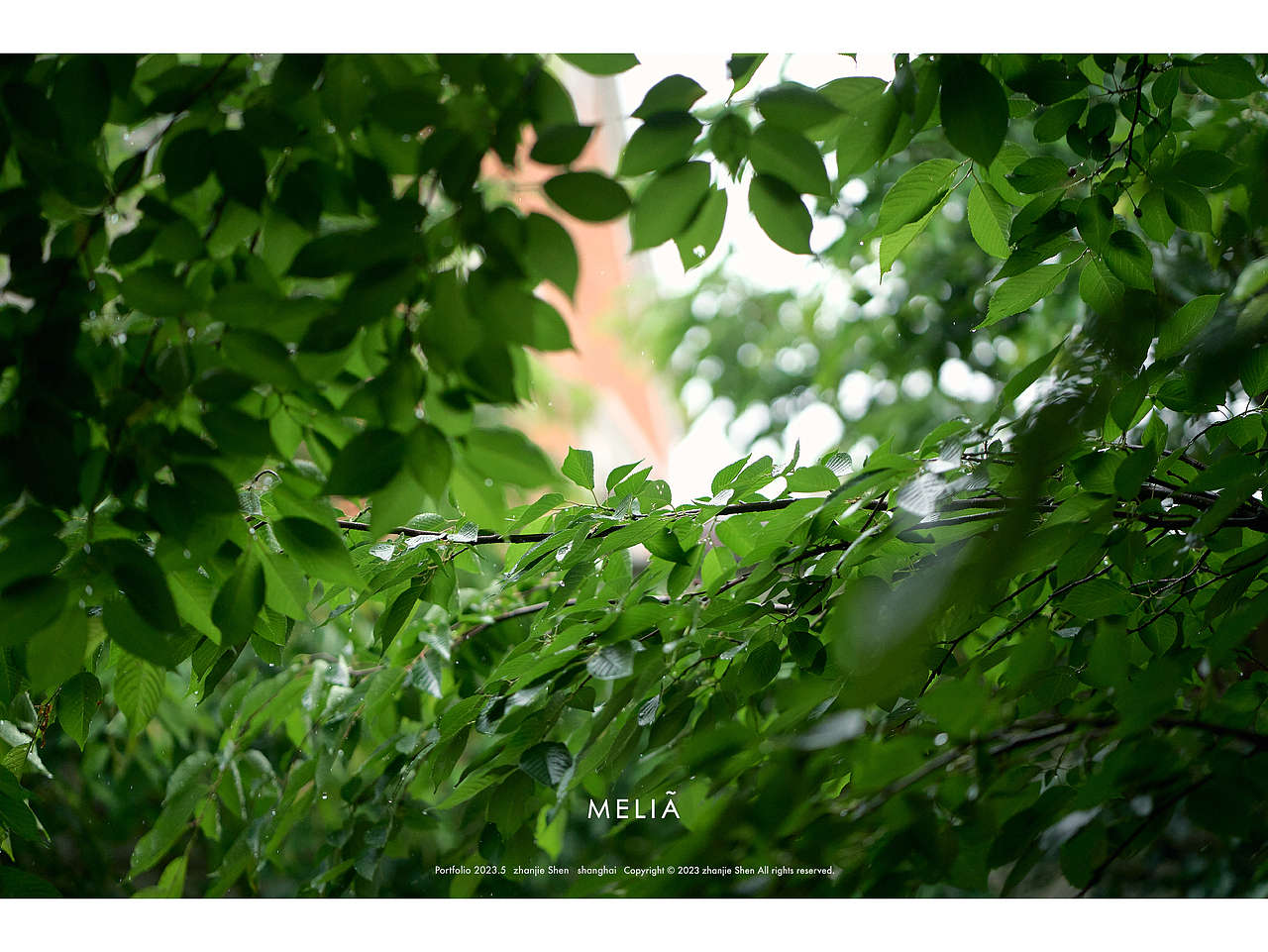 酒店拍摄案例 | 上海邻家美利亚酒店（图ZMzQ2NzI4MTA0） - 环境/建筑摄影 - 站酷设计师摄影师SZJ原创素材 - 站酷ZCOOL