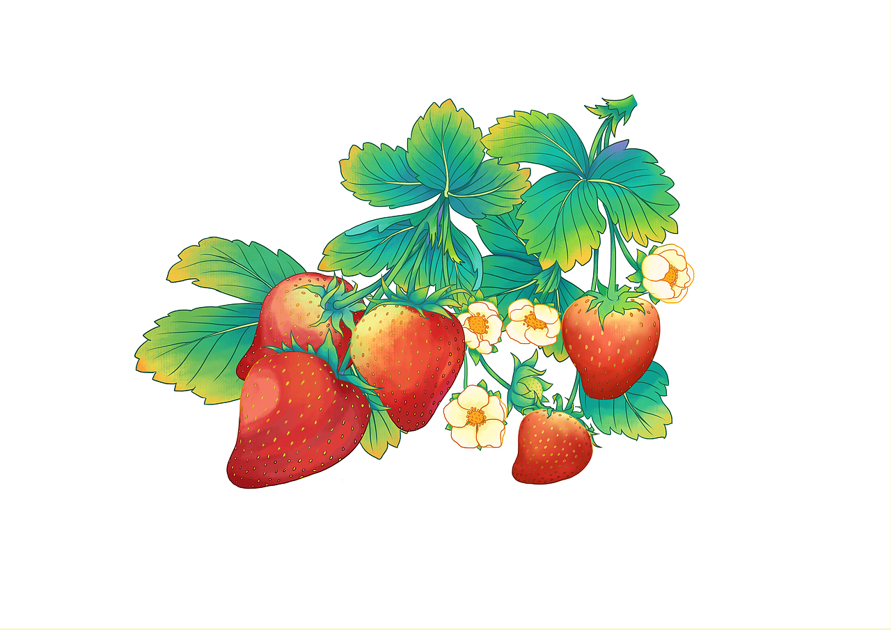 草莓包装插画（图ZMzMzMTUwOTQw） - 商业插画 - 站酷设计师尔玉HL原创素材 - 站酷ZCOOL