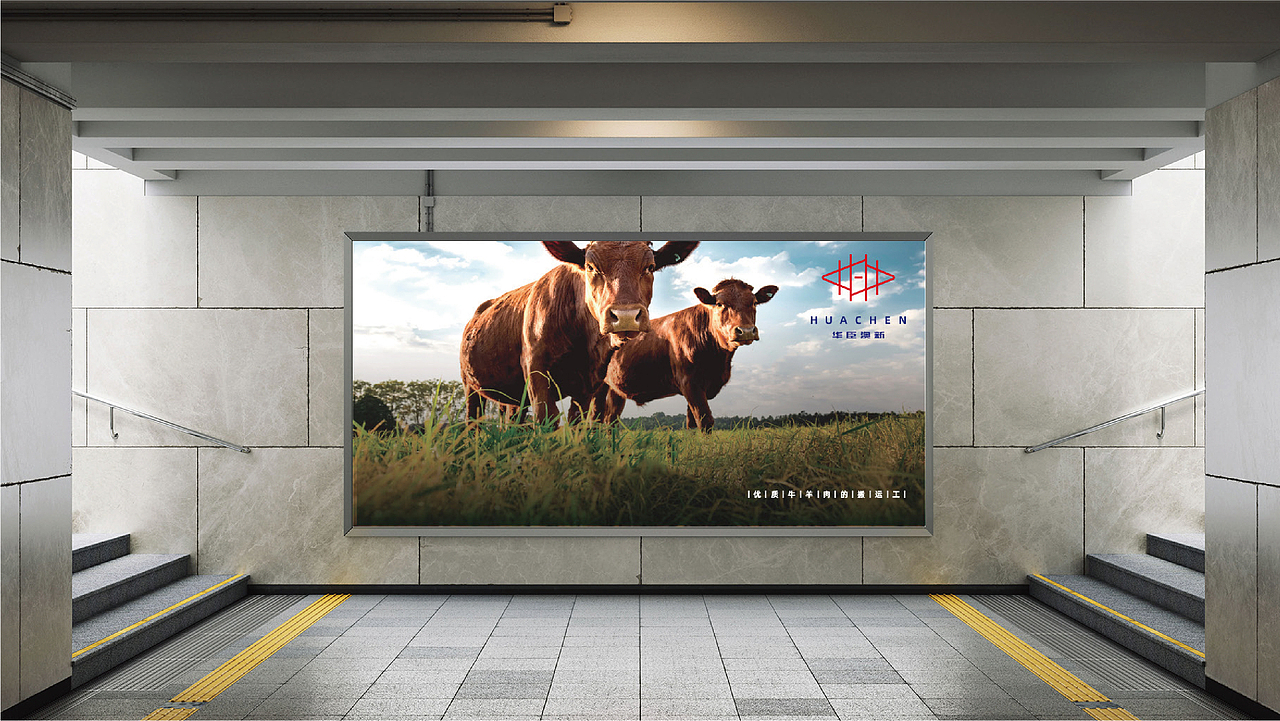 并行致远 × 华臣澳新品牌丨logo设计