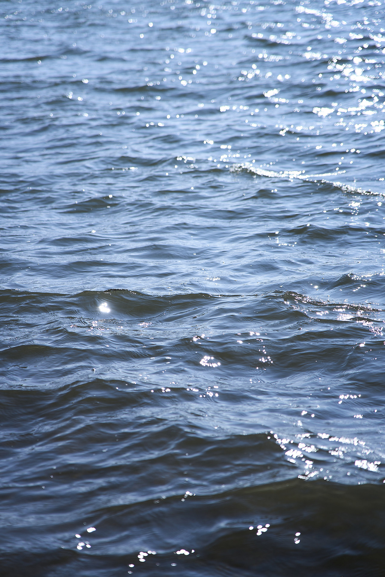 日常（图ZMzM0NzUwMTY4） - 人文/纪实摄影 - 站酷设计师大只秋原创素材 - 站酷ZCOOL