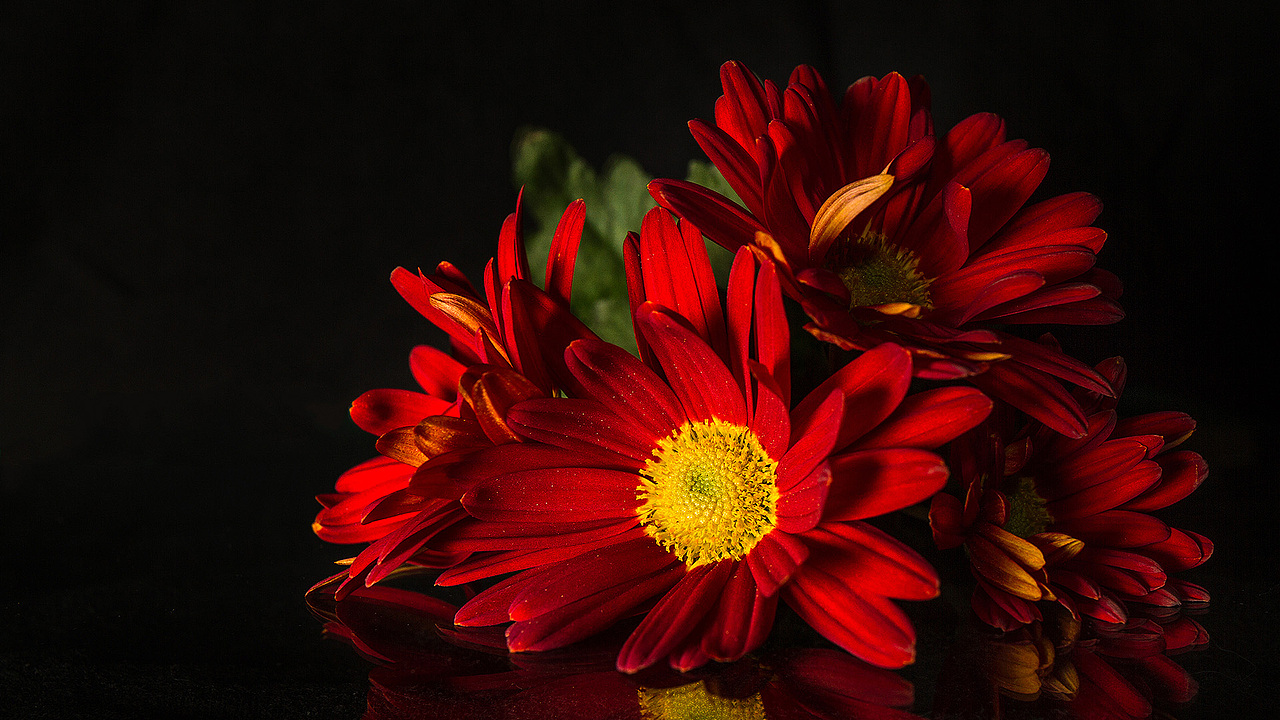 16:9和18:9（图ZMzIzNDQ0MjE2） - 风光摄影 - 站酷设计师amhx原创素材 - 站酷ZCOOL