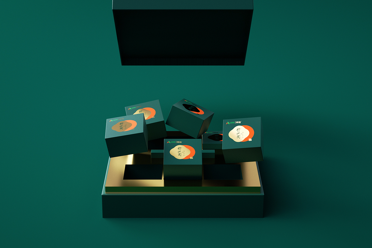 DODE CASE | 山东高速特地月饼礼盒形象设计