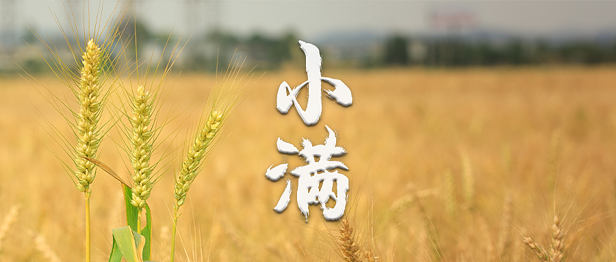 五月节气海报存档（立夏小满）（图ZMzQ2NDgyMjQw） - 海报 - 站酷设计师Papadijiang原创素材 - 站酷ZCOOL