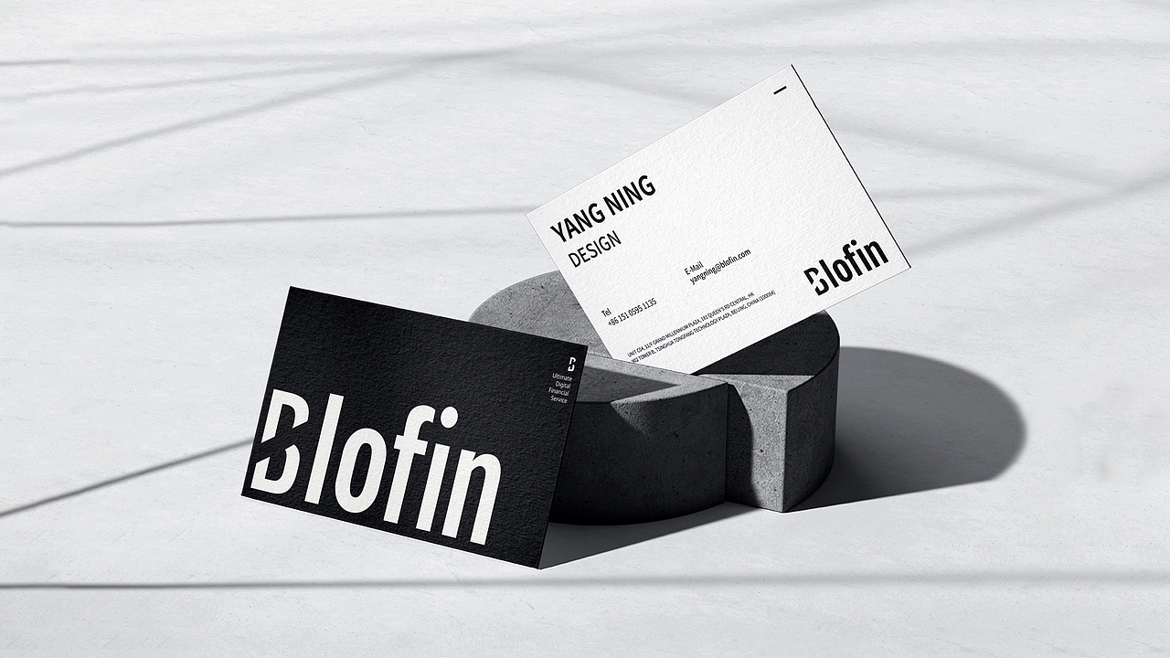 【品牌设计】blofin × 阿呆 - 关于黑白的探索