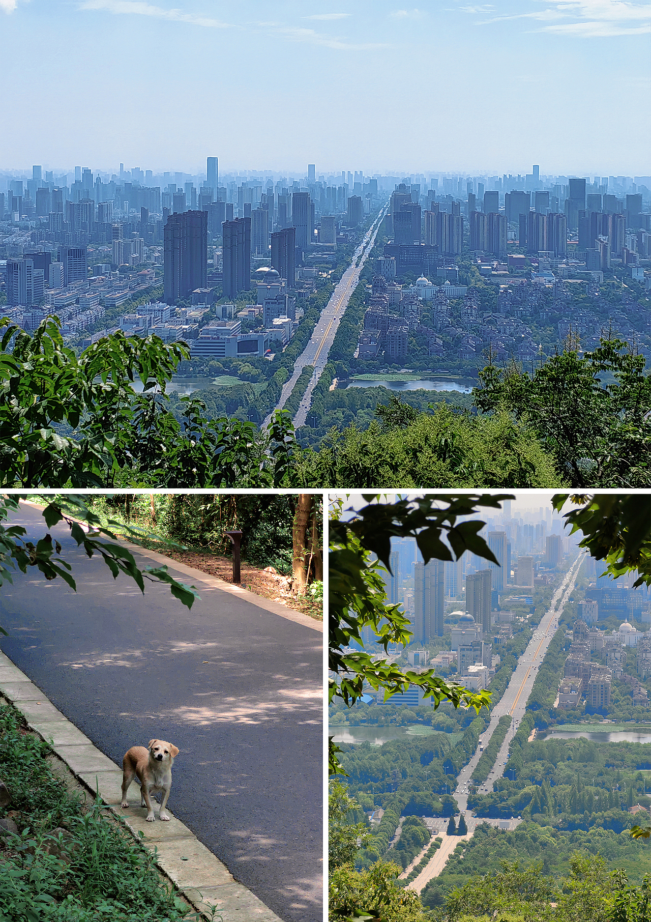 小梦的随手拍-第4期（图ZMzIwMDQ4NTI4） - 风光摄影 - 站酷设计师梦梦小梦12原创素材 - 站酷ZCOOL