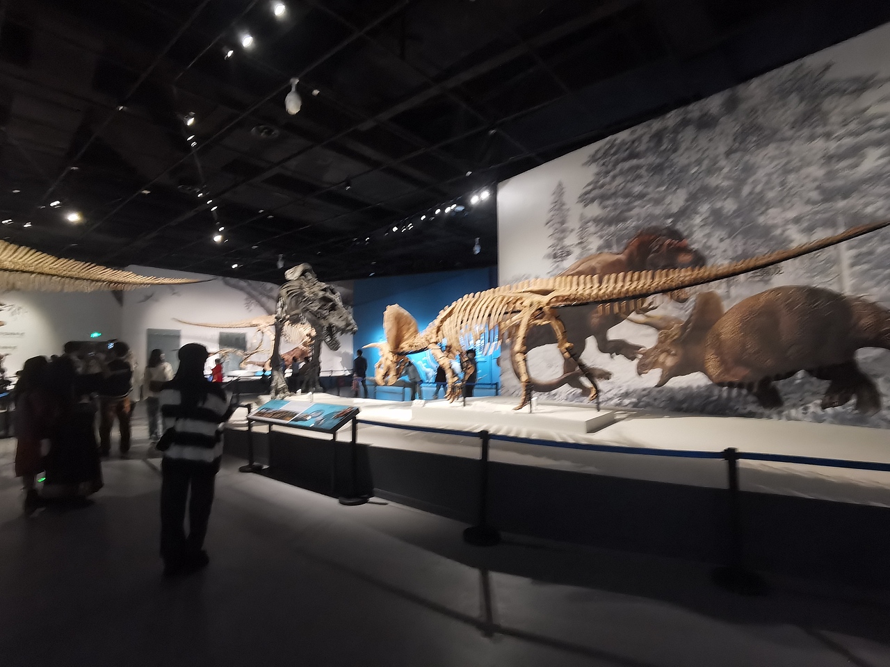 成都自然博物馆（图ZMzI0NTI3NzMy） - 展陈设计 - 站酷设计师聚光灯下锦衣夜行原创素材 - 站酷ZCOOL