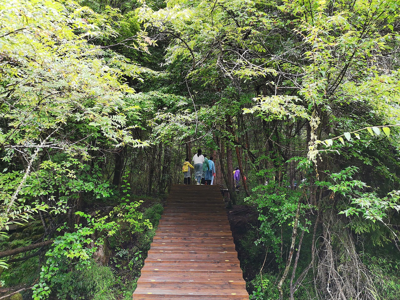 五彩缤纷九寨沟（上）