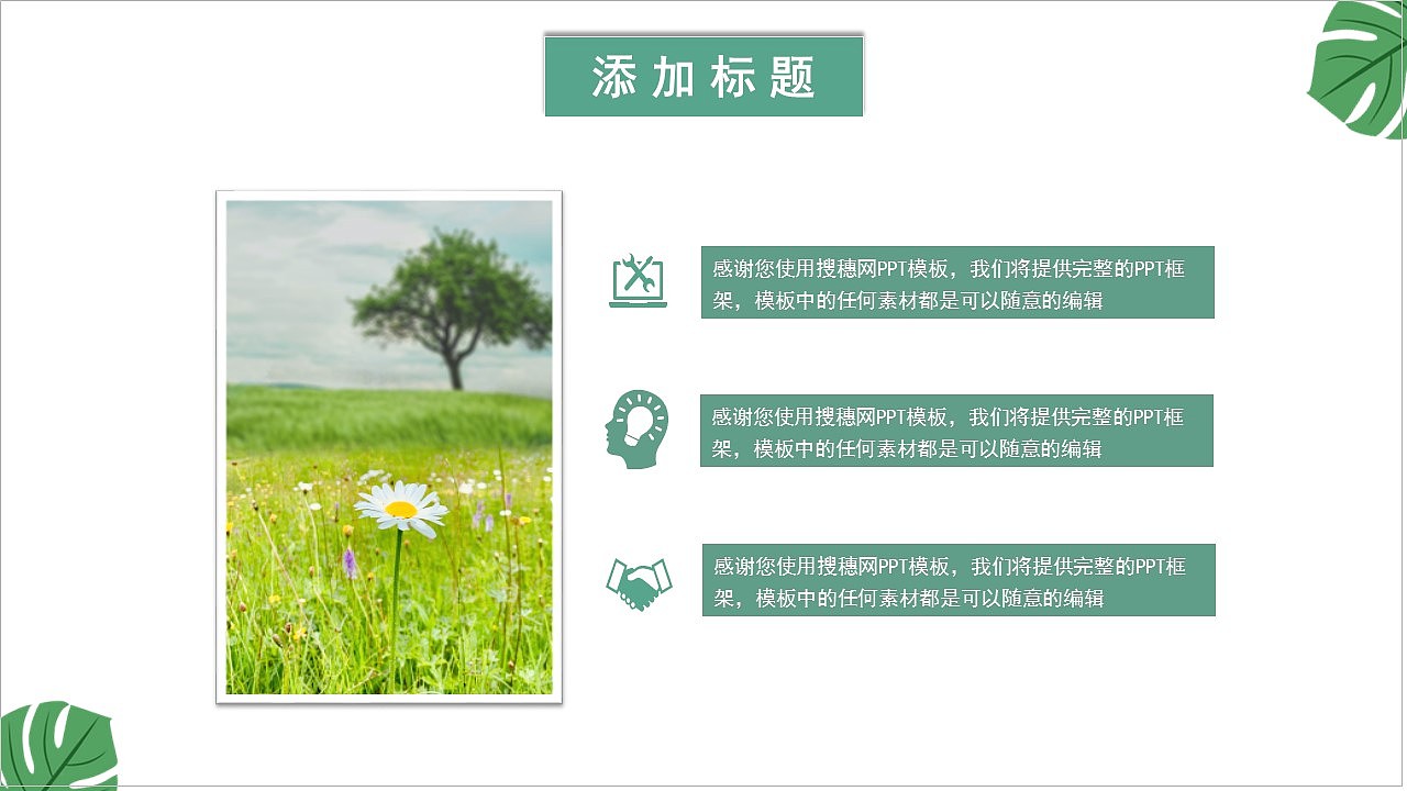 自然绿色系清新风初夏主题通用PPT模板