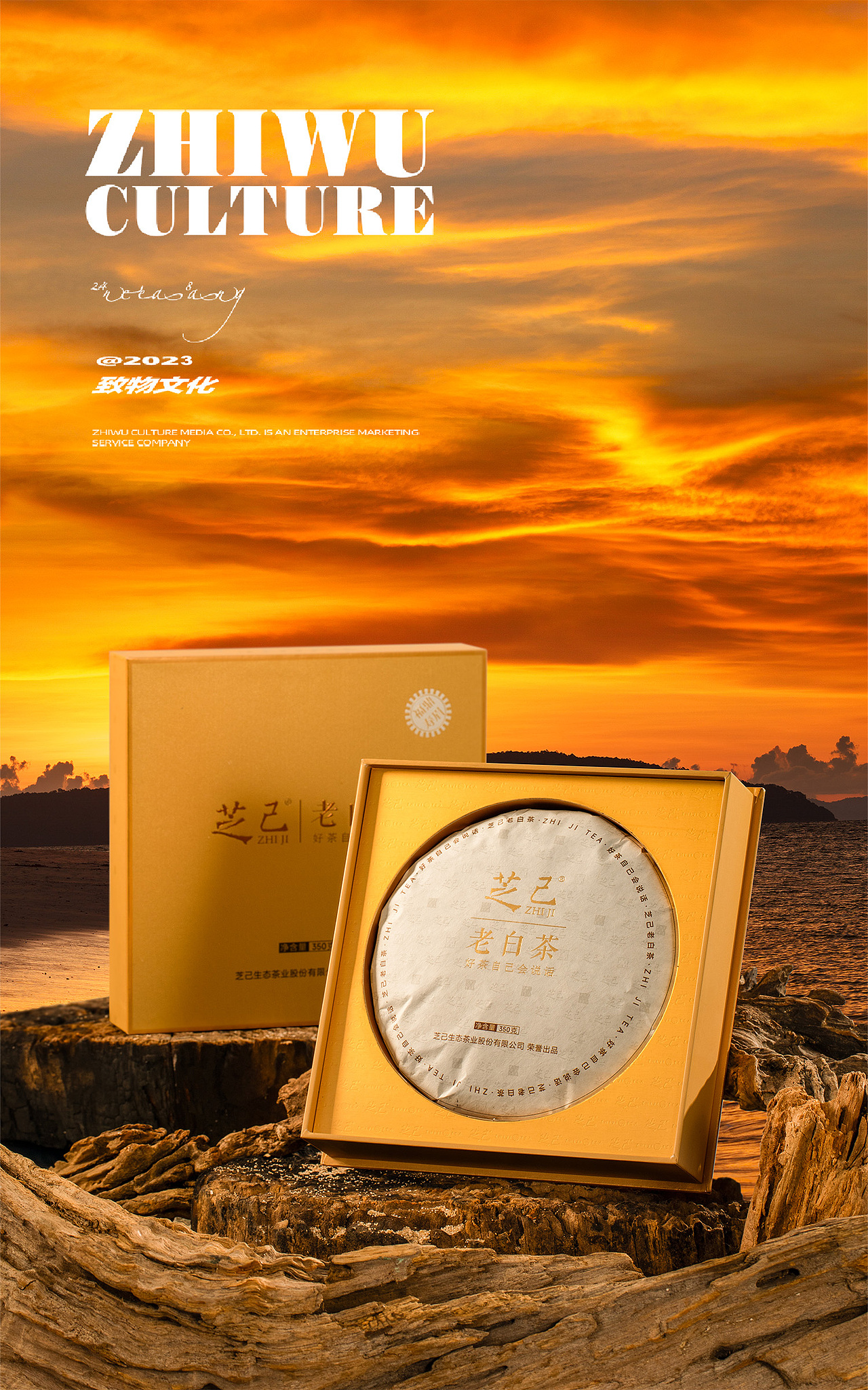 拍摄案例  | 芝己 老白茶 | 专业拍茶