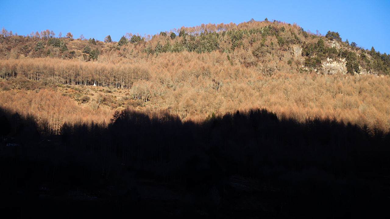 Natural Scenery丨成都《3》