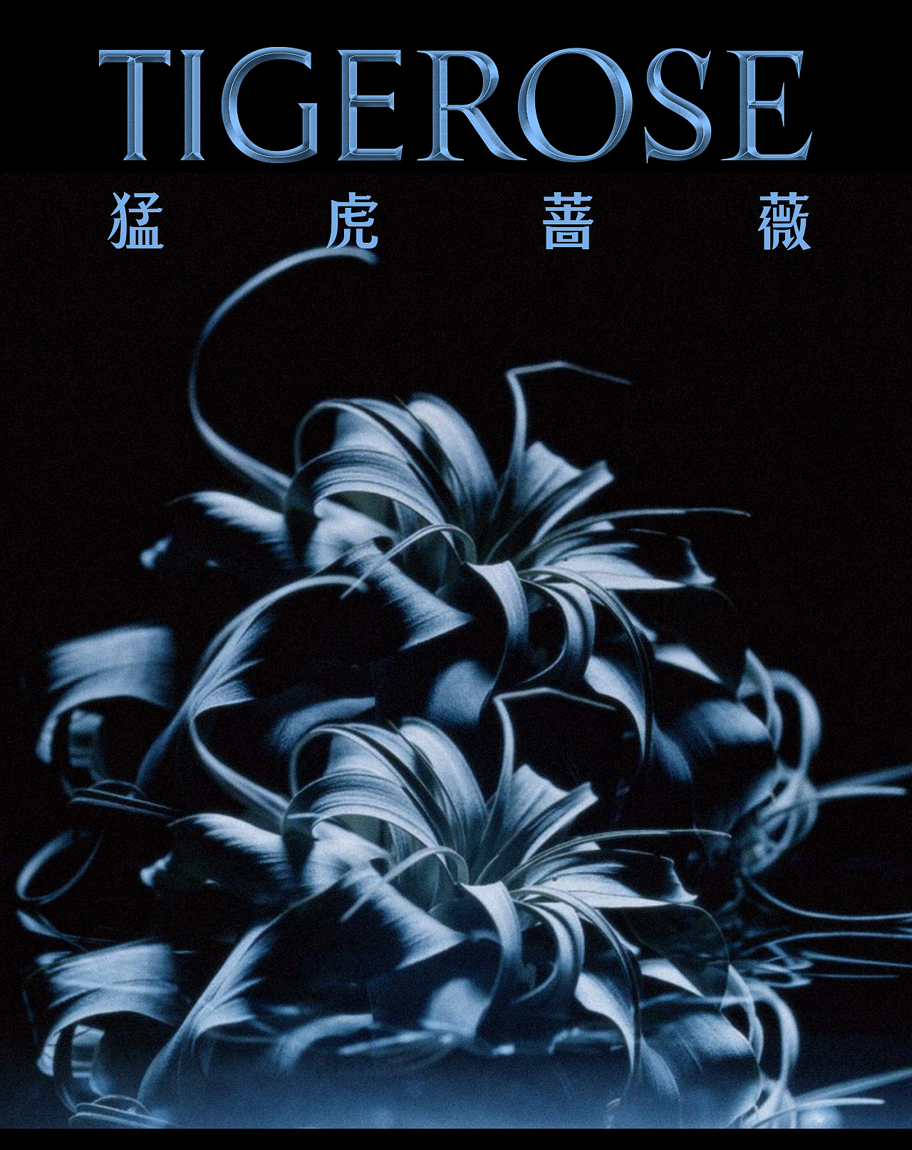 猛虎蔷薇®品牌设计以及周边设计分享