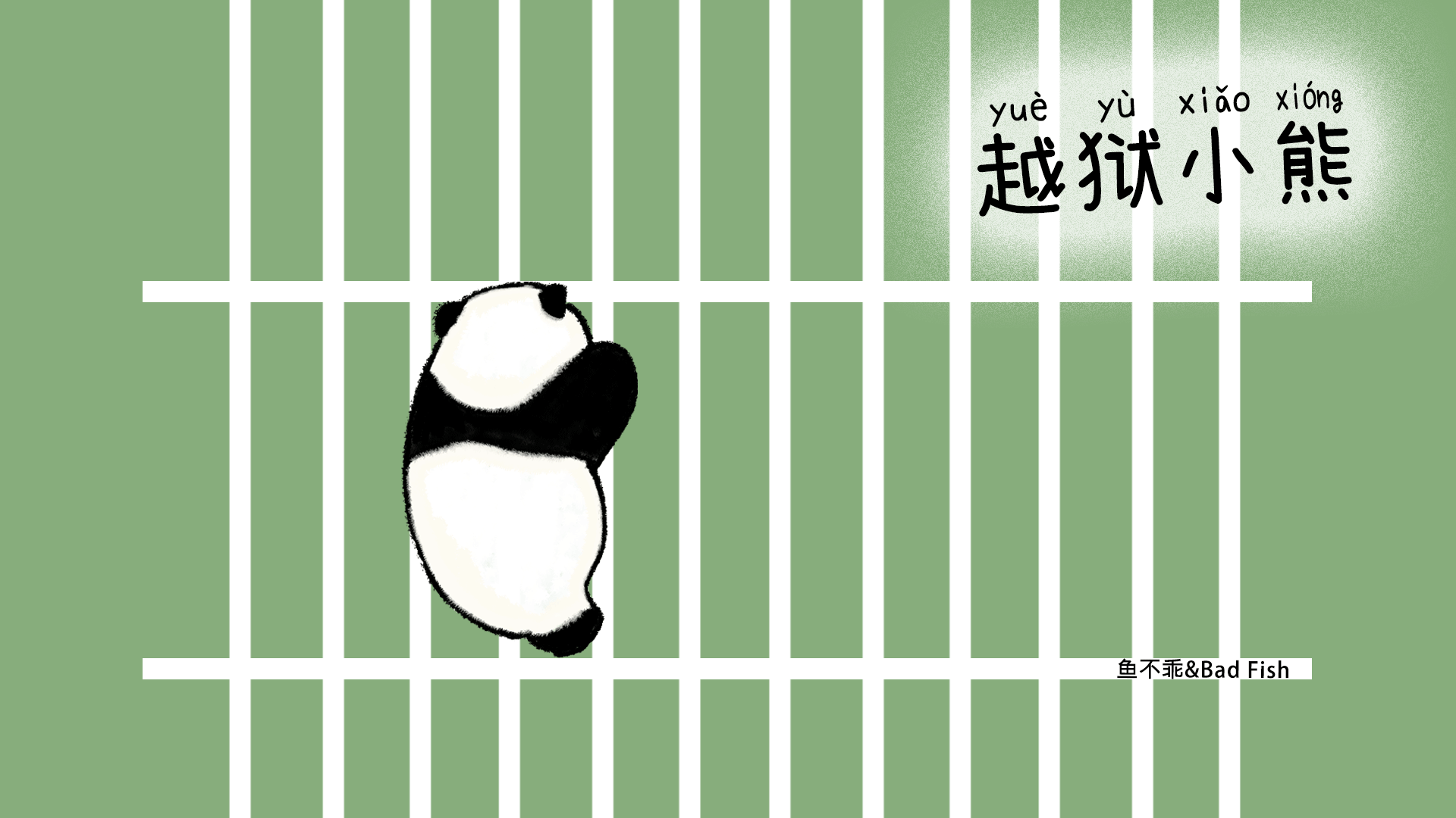 治愈小熊/原创动画/手机动态壁纸