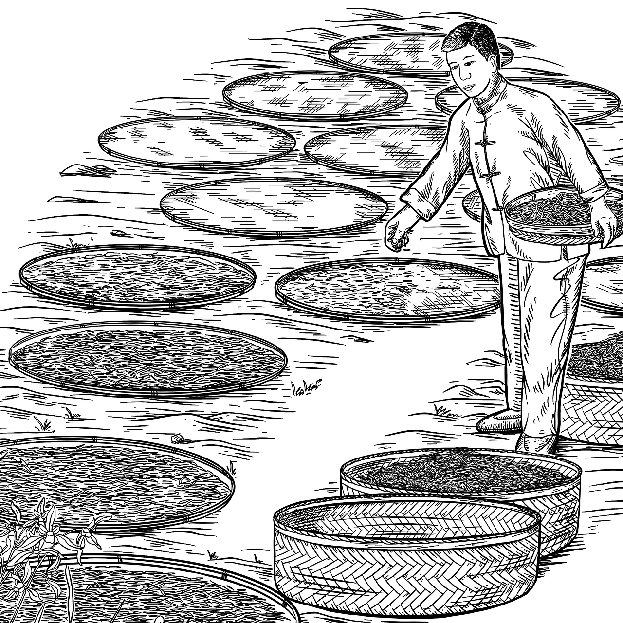 茶品牌长卷插画