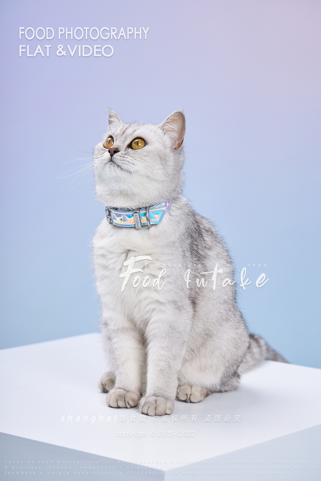 静物摄影 | 猫&它的项链 ✖ 上海摄食度